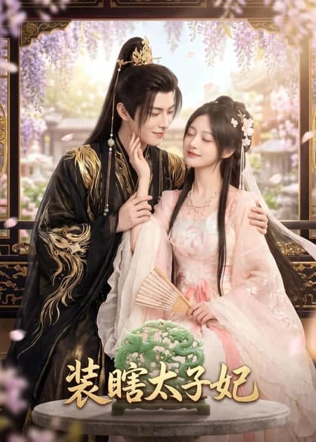 装瞎太子妃海报
