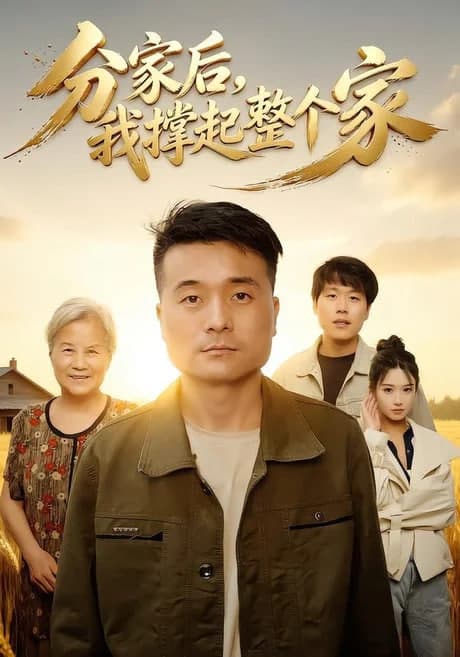 分家后我撑起整个家海报