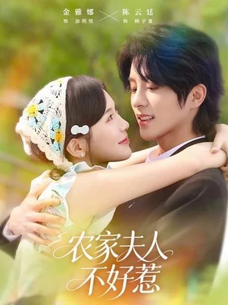 农家夫人不好惹海报