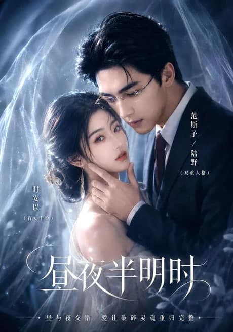 昼夜半明时海报