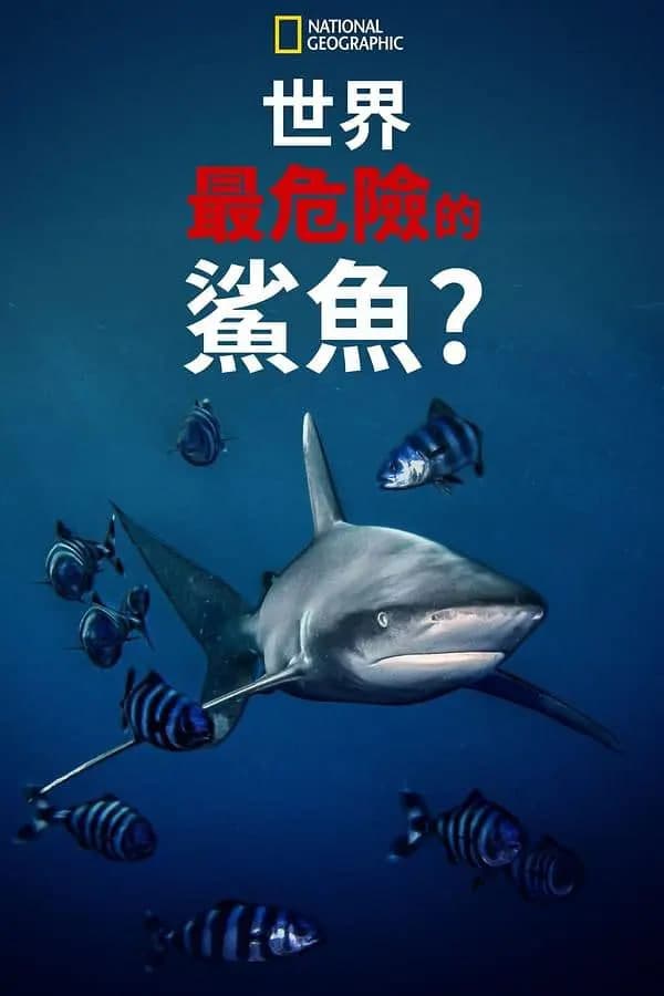 世上最危险的鲨鱼海报