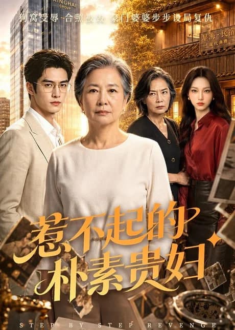 惹不起的朴素贵妇海报