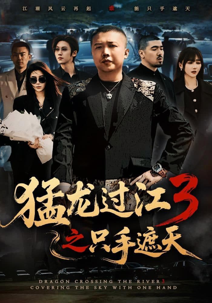 猛龙过江 3 之只手遮天海报