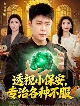透视小保安，专治各种不服海报