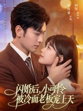 闪婚后，小可怜被冷面老板宠上天海报