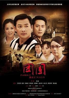 团圆 2011海报