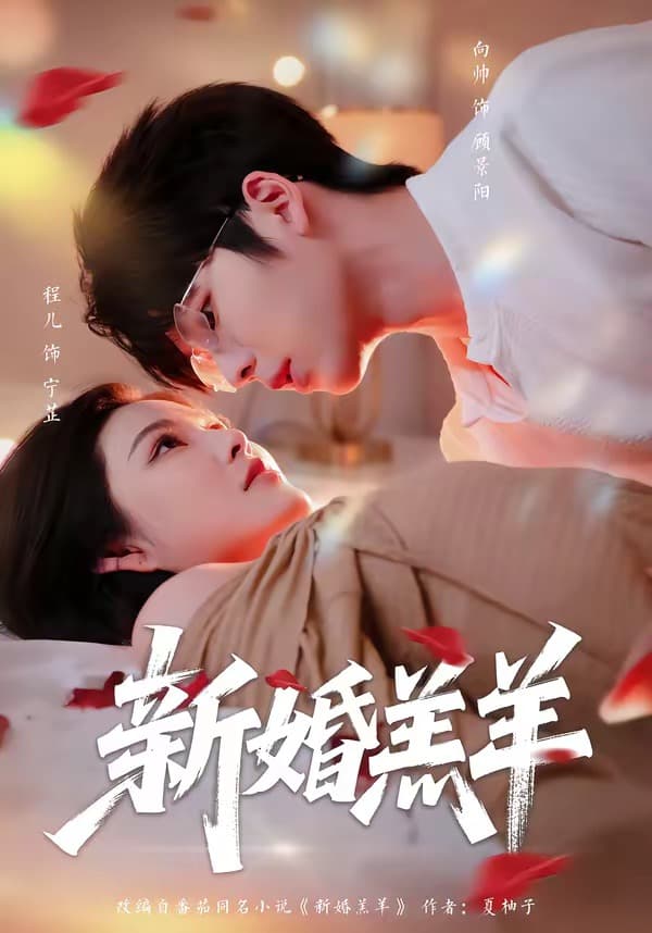 新婚羔羊海报