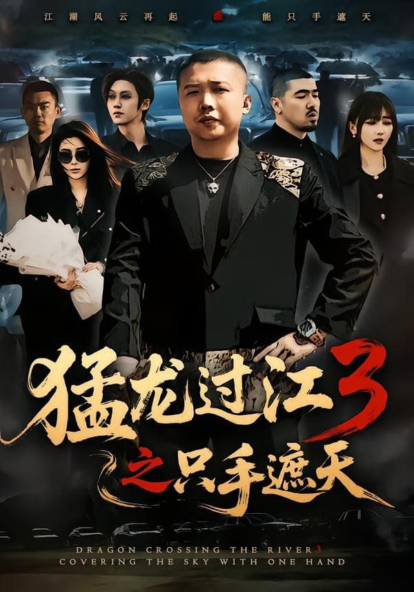 猛龙过江3之只手遮天海报