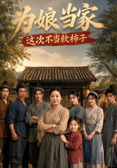 为娘当家：这次不当软柿子海报