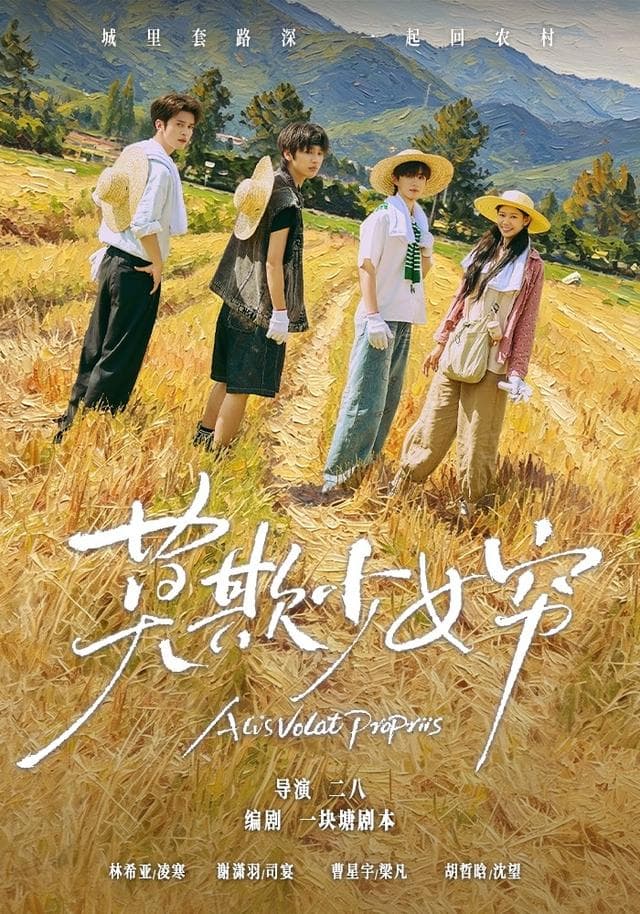 莫欺少女穷海报