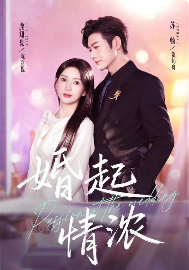 婚起情浓海报
