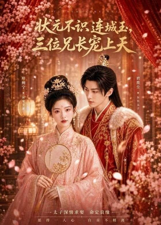状元不识连城玉，三位兄长宠上天海报