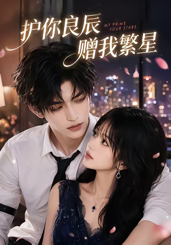 护你良辰赠我繁星海报