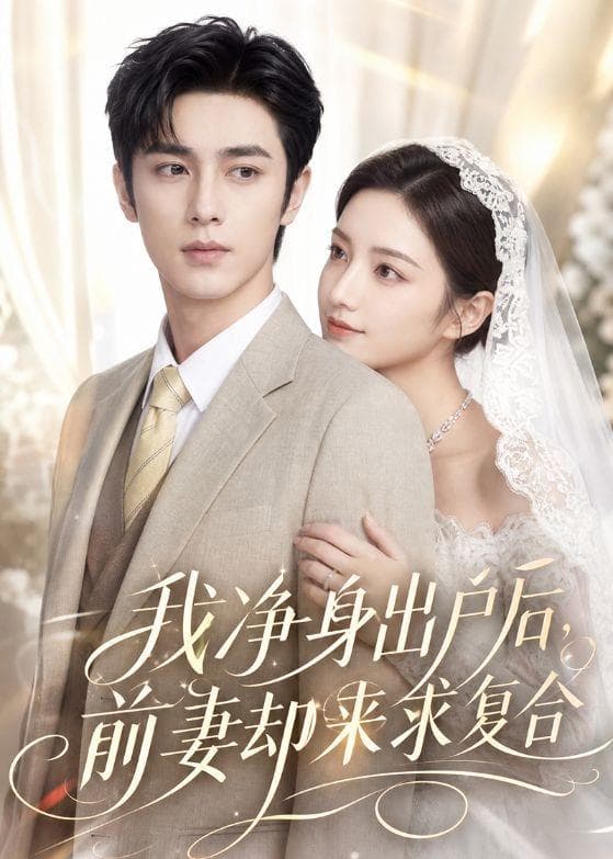 我净身出户后，前妻却来求复合海报