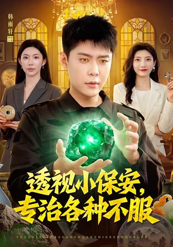透视小保安，专治各种不服海报
