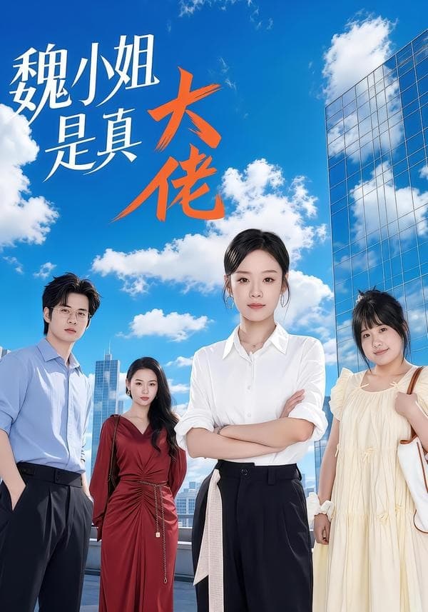魏小姐是真大佬海报