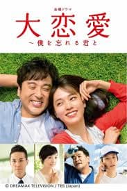 大恋爱:与将我忘记的你海报
