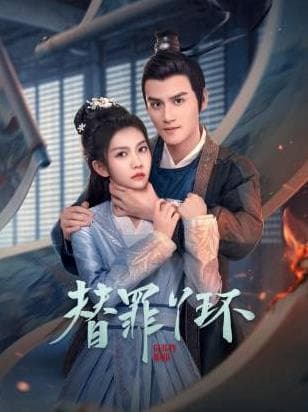 替罪丫环海报