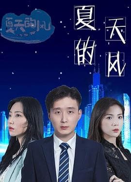 夏天的风海报