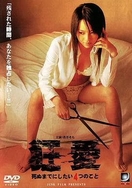 狂爱海报