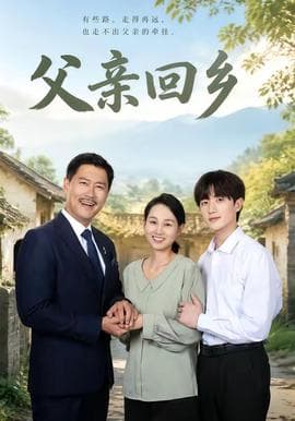 父亲回乡海报