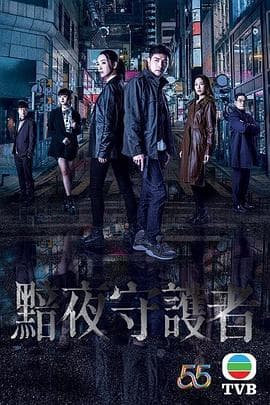 暗夜守护者(国语版)海报