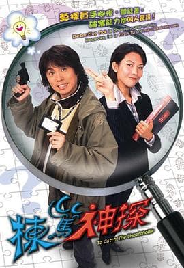 栋笃神探(国语版)海报