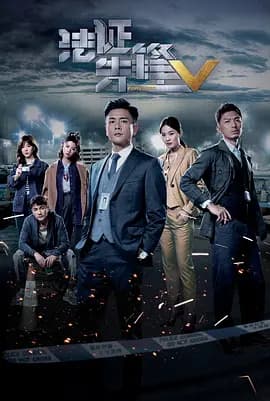 法证先锋5(国语版)海报