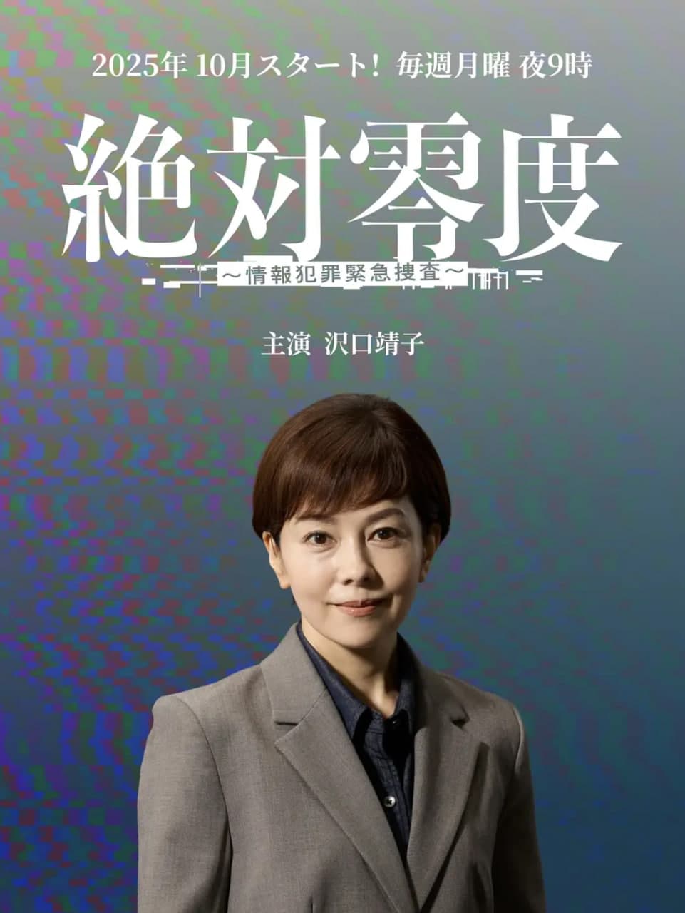 绝对零度 ~情报犯罪紧急搜查~海报