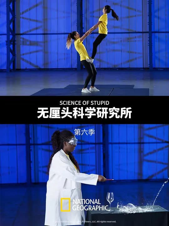 无厘头科学研究所 第六季 （中配版）海报