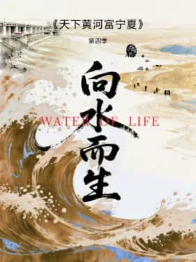 天下黄河富宁夏 第四季海报