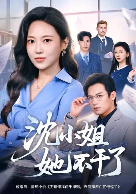 沈小姐她不干了海报