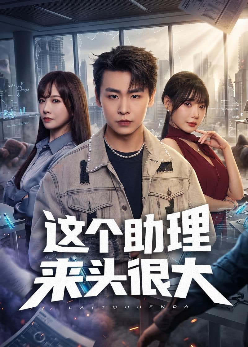 这个助理来头很大海报