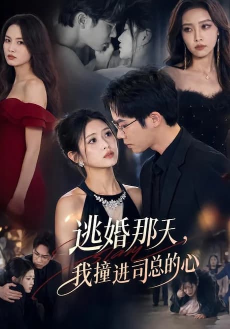 逃婚那天，我撞进司总的心海报