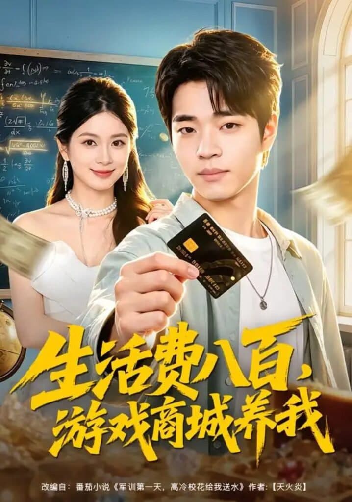生活费八百,游戏商城养我海报