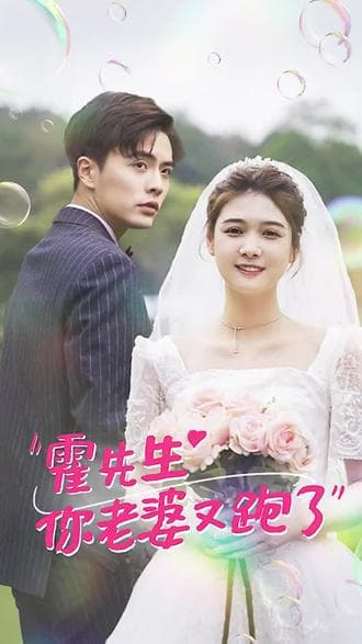 霍先生，你老婆又跑了海报