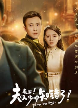 夫人在上,少帅知错了海报