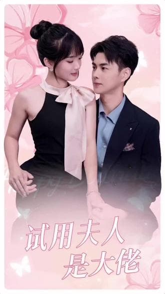 试用夫人是大佬海报
