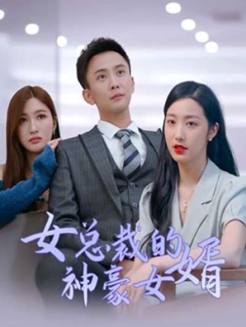 女总裁的神豪女婿海报