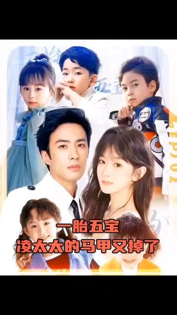 一胎五宝，凌太太的马甲又掉了海报