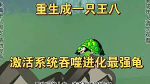 一只龟的进化史海报