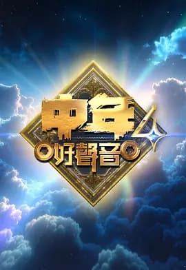 中年好声音4海报