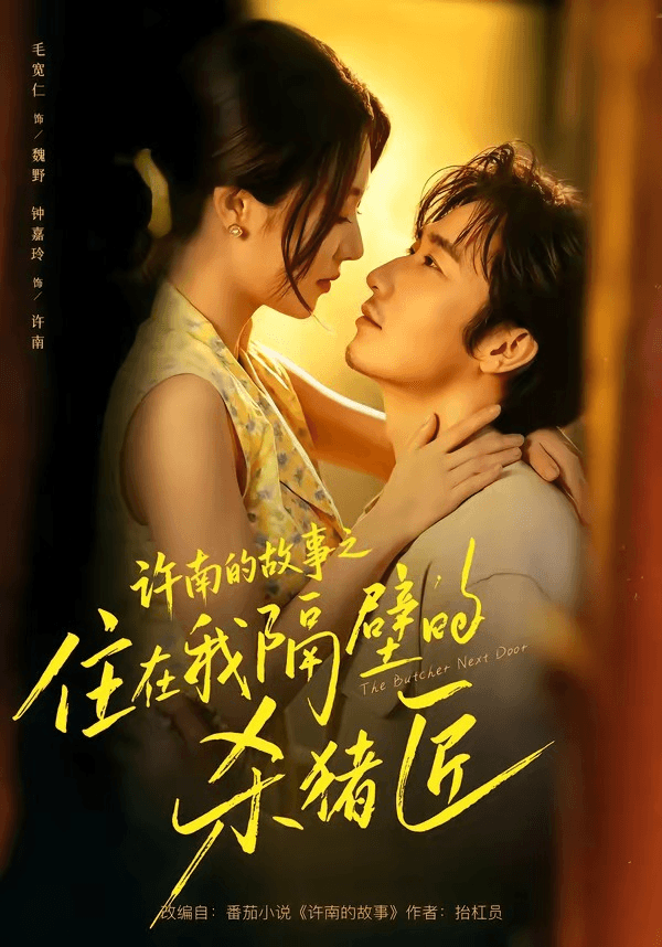 许南的故事之住在我隔壁的杀猪匠海报
