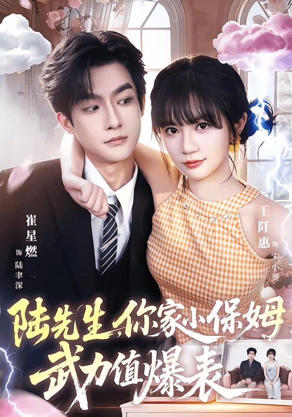 陆先生，你家小保姆武力值爆表海报