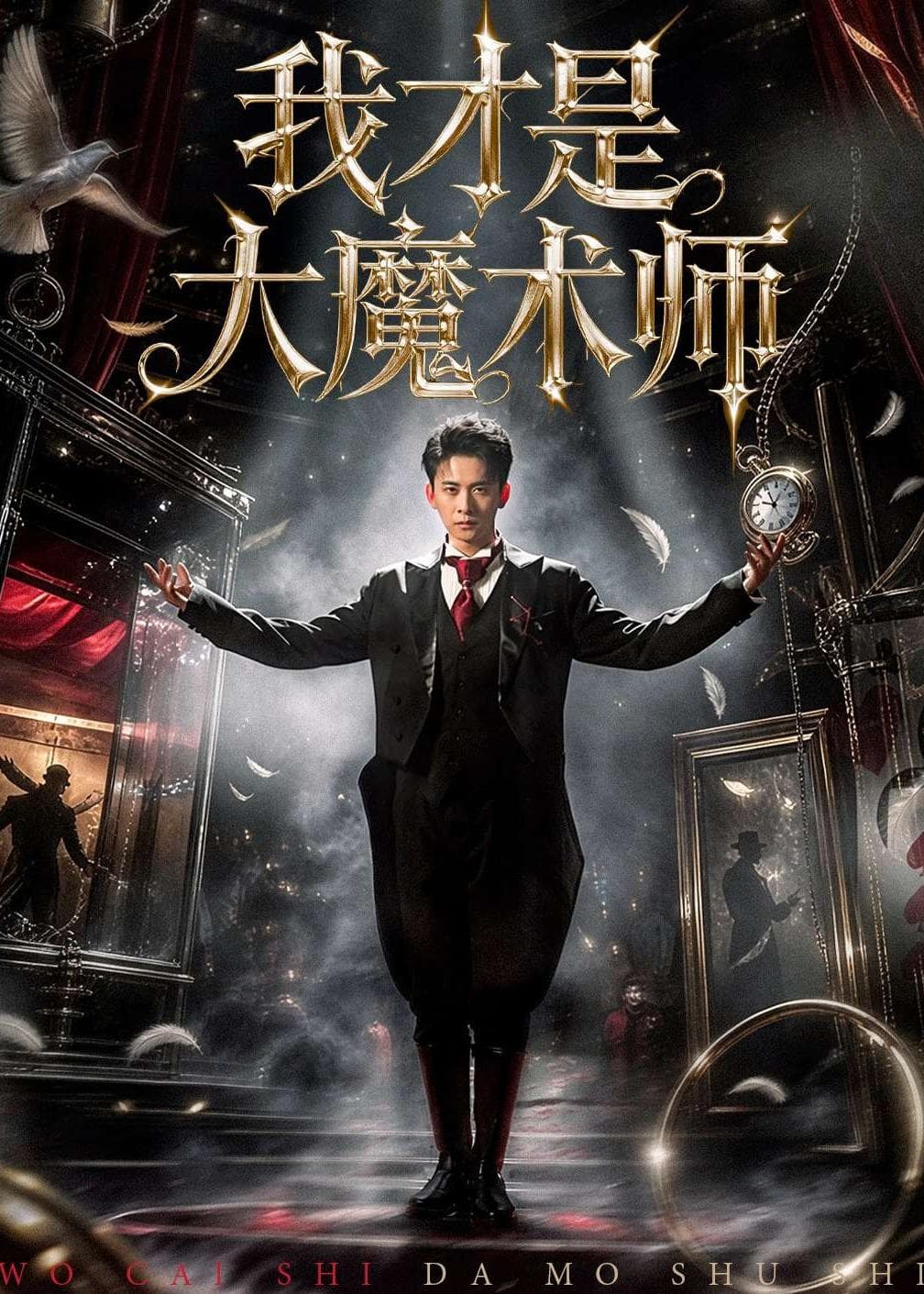 我才是大魔术师海报