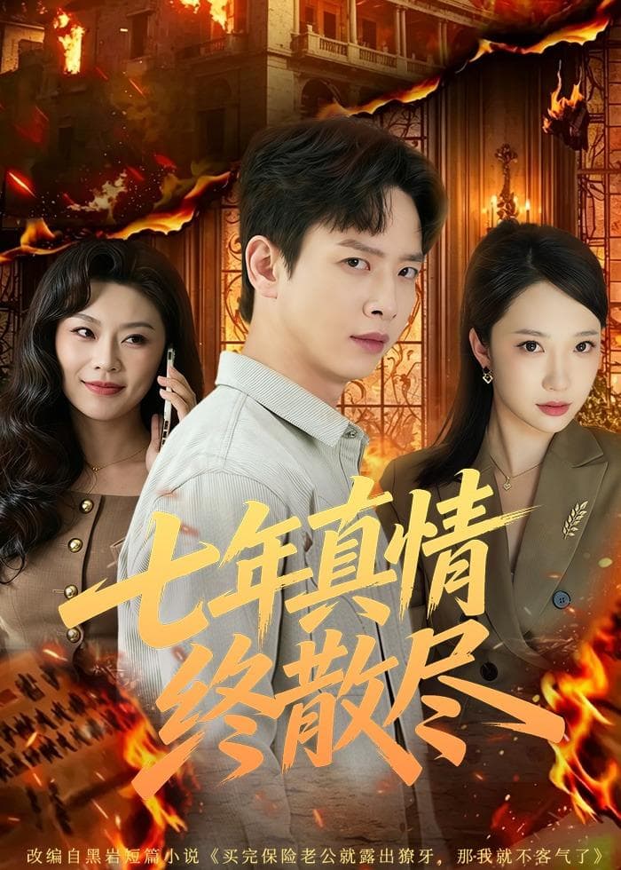 七年真情终散尽海报