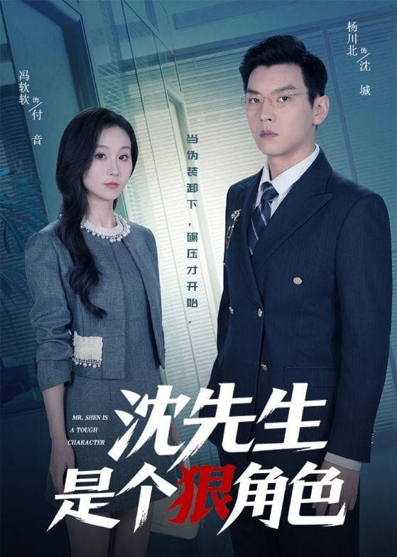沈先生是个狠角色海报