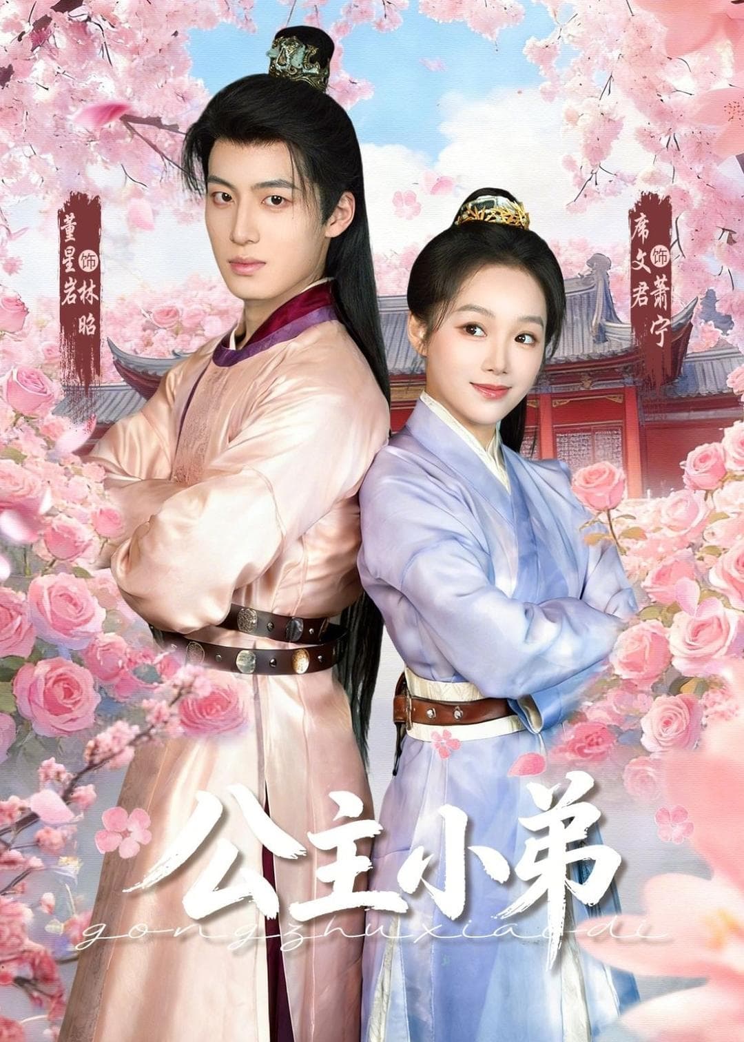 公主小弟海报