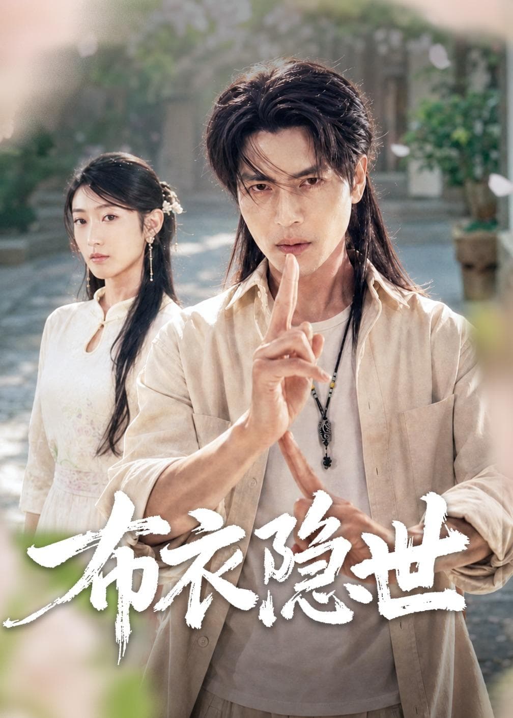 布衣隐世海报
