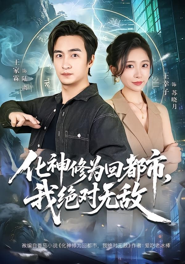 化神修为回都市，我绝对无敌海报
